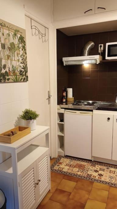 Petit Mignon - Hypercentre Toulouse Apartamento Exterior foto
