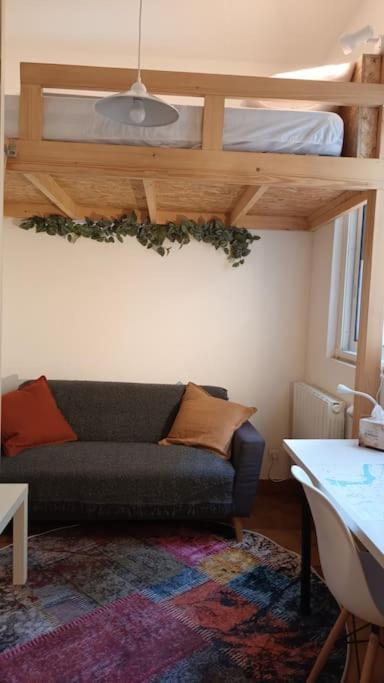 Petit Mignon - Hypercentre Toulouse Apartamento Exterior foto